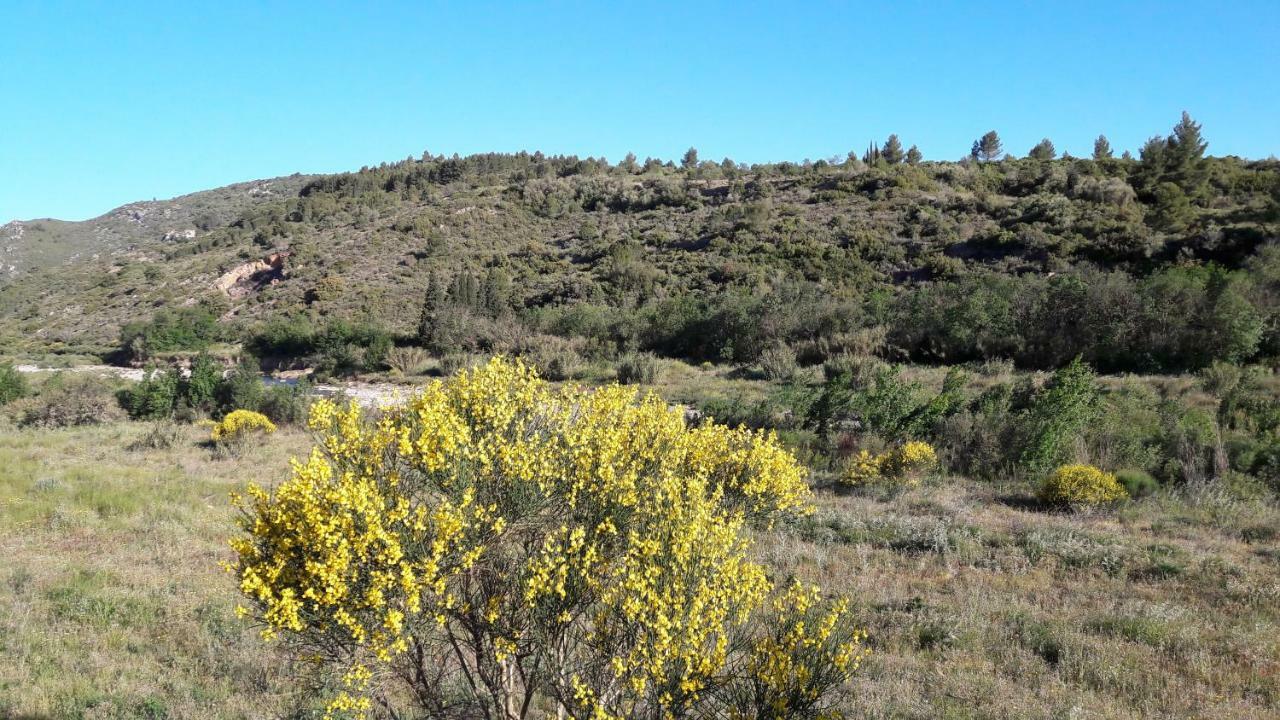 فيلا La Grange Durban-Corbieres المظهر الخارجي الصورة